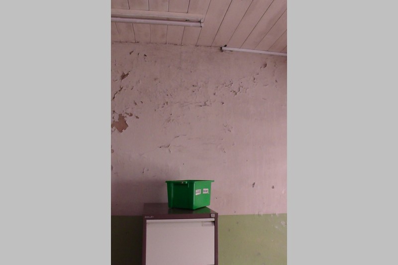 Paint peeling off the walls